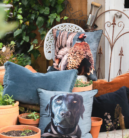 Phil The Pheasant Cushion