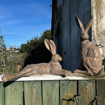 Pecan Country Hare ~ Resting Earth
