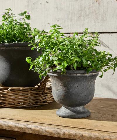 Georgio Planter Small