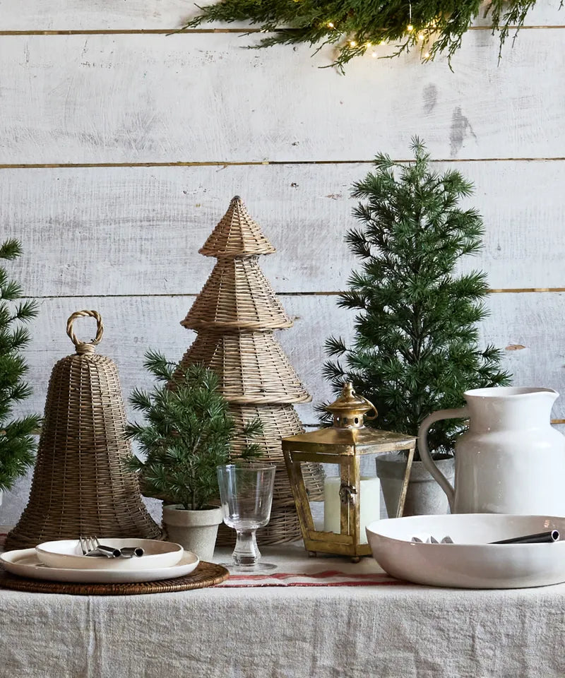Table Pine Tree Medium