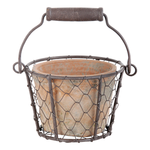 Aged Terracotta Pot w/ Wire Basket