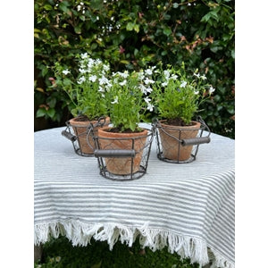 Aged Terracotta Pot w/ Wire Basket