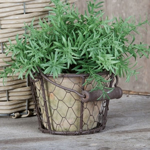 Aged Terracotta Pot w/ Wire Basket