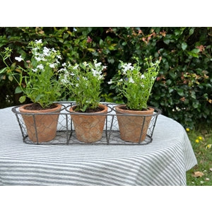 Aged Terracotta 3 Pots in Wire Basket
