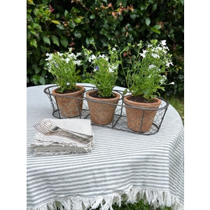Aged Terracotta 3 Pots in Wire Basket