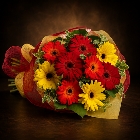 Gerbera Brights