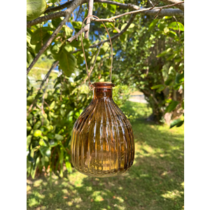 Wasp Trap Assorted