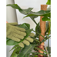Plant Dust Gloves Green 14x23x2cm