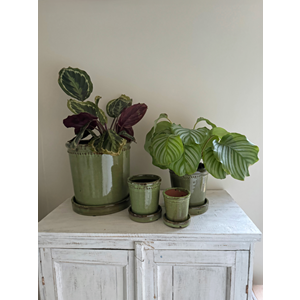 Flower Pot Glazed Green 25cm