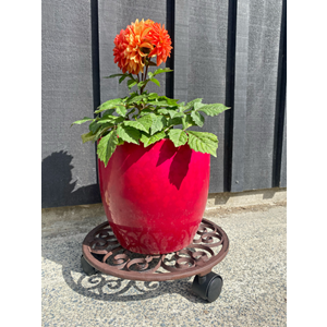 Cast Iron Plant Trolley