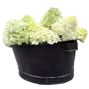 Advika Vintage Party Bucket