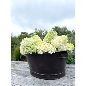 Advika Vintage Party Bucket