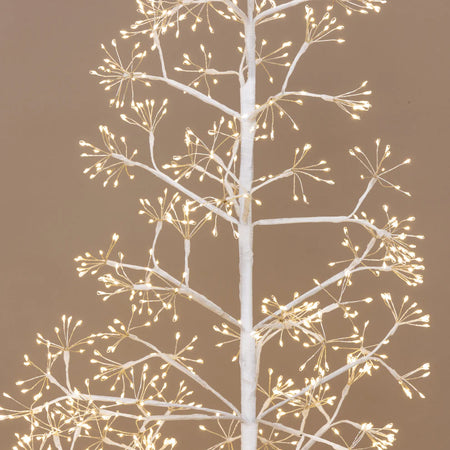 White Frankfurt Tree ~ Medium