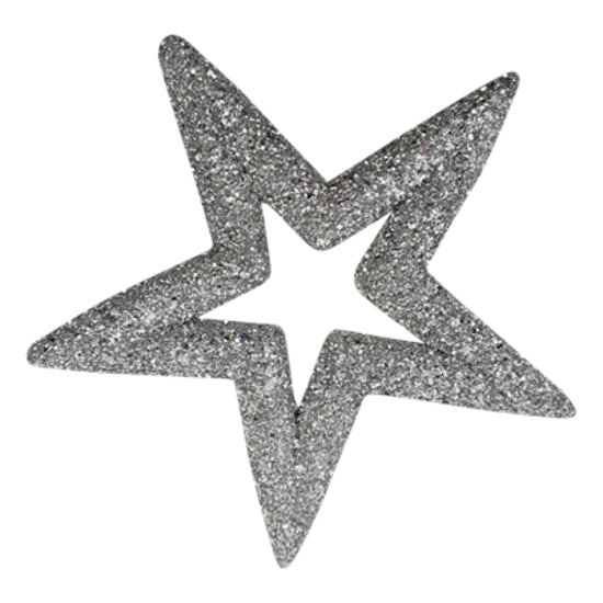 Silver Star