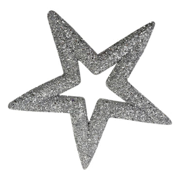 Silver Star