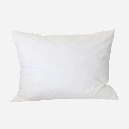 45 X 65 Feather & Down Cushion Cover