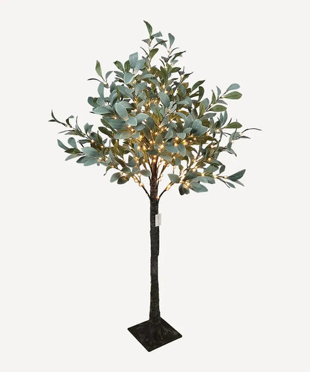 Light up Olive Tree Dark Leaf ~ Medium