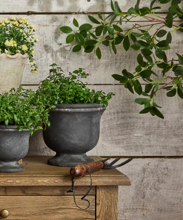 Georgio Planter Large