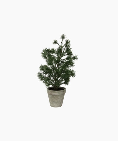 Table Pine Tree Small