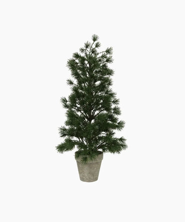 Table Pine Tree Medium