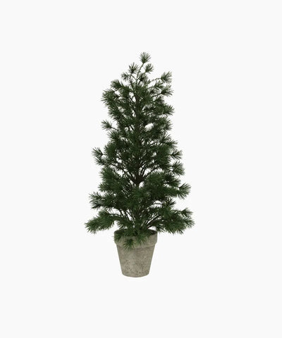 Table Pine Tree Medium