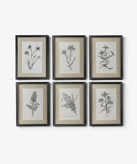 Heirloom Botanicals Wall Art (SET6)