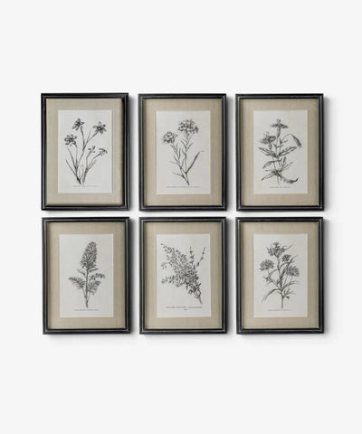Heirloom Botanicals Wall Art (SET6)