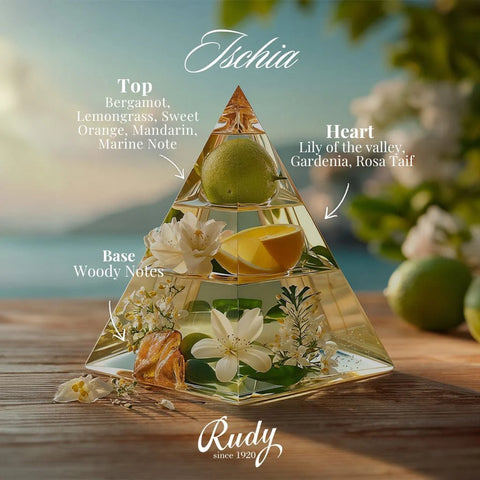 Rudy ~Ischia Oil Diffuser - Bergamot and Orange - 500ml