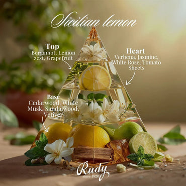 Rudy ~ Sicilian Lemon Oil Diffuser - 250ml
