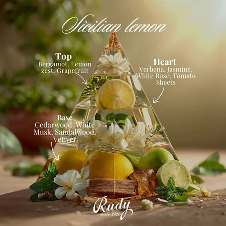 Rudy ~ Sicilian Lemon Oil Diffuser - 250ml