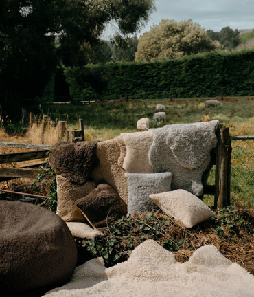 NZ Short Wool Sheepskin Rug Mushroom ~ (Dark Brown) ~ Single