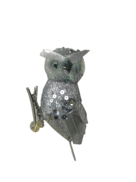 Little Silver Owl